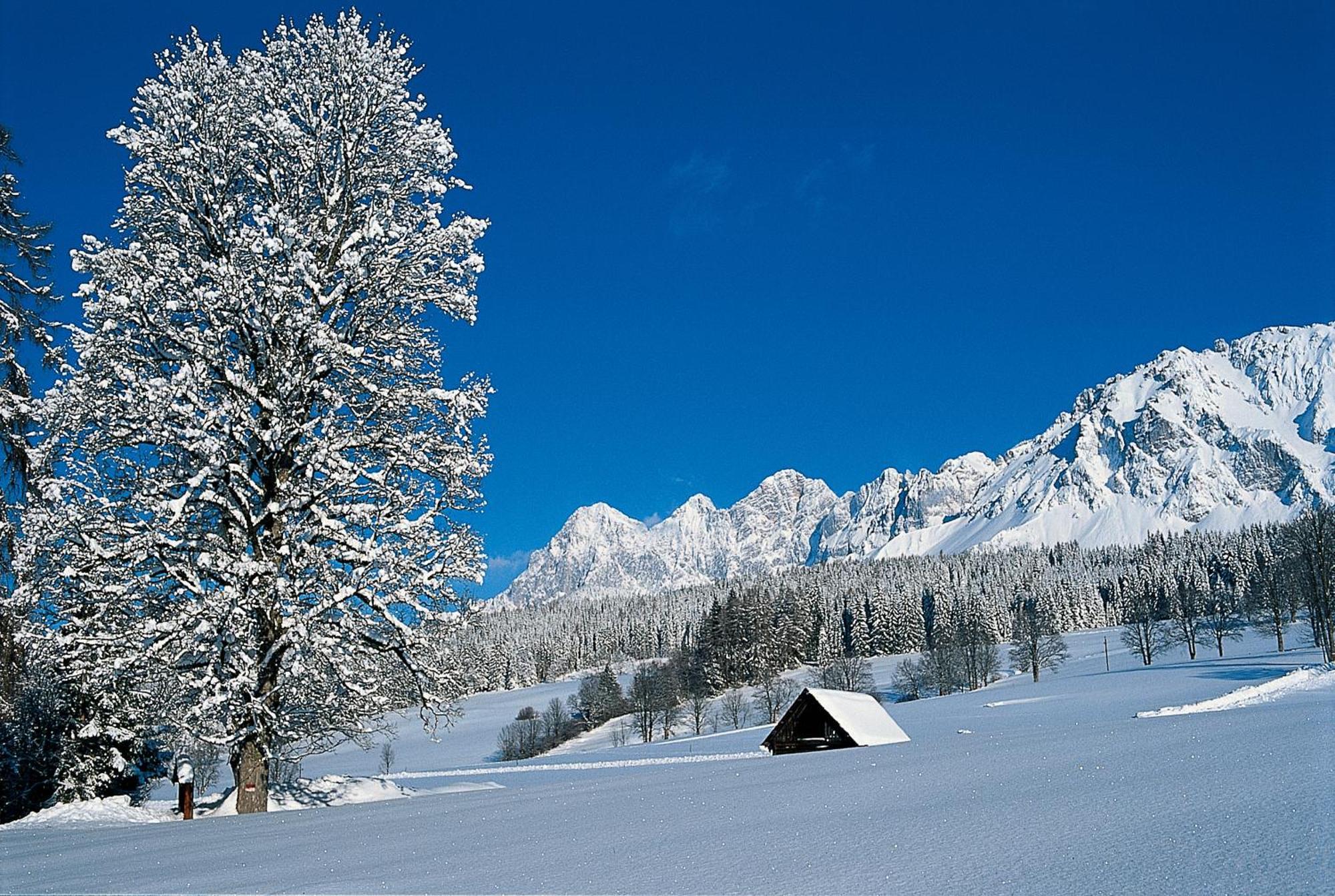Hotel Matschner Ramsau am Dachstein Exterior foto